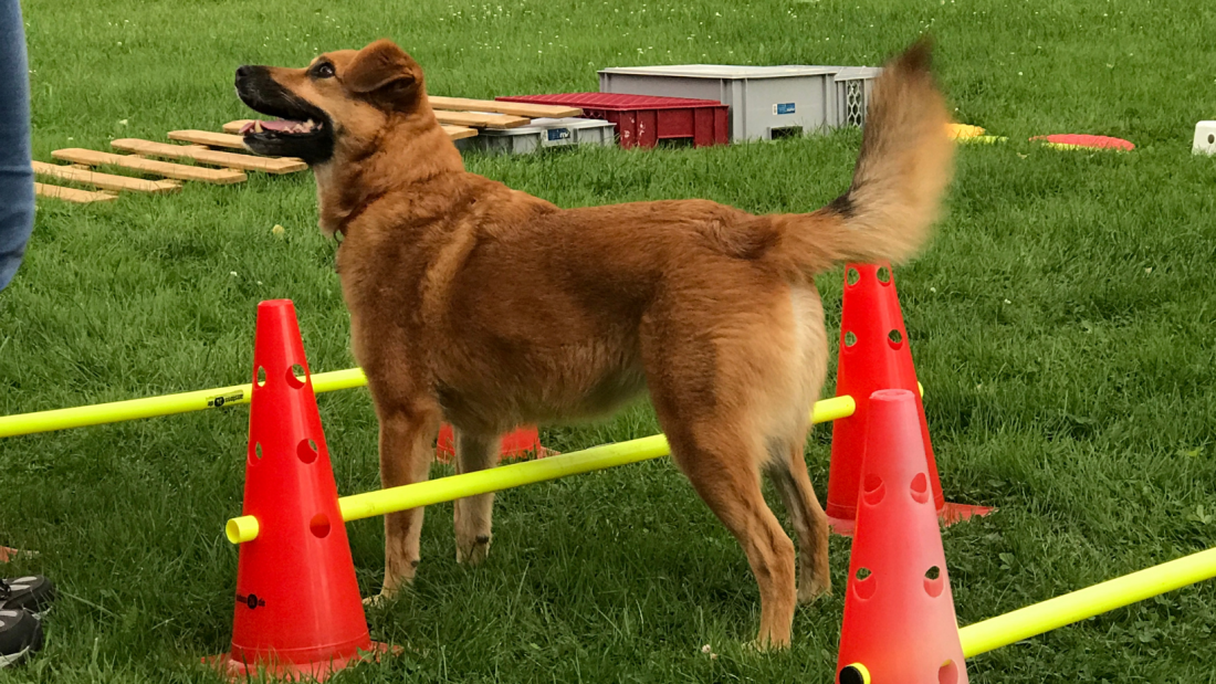Mindewalk - Gerätetraining